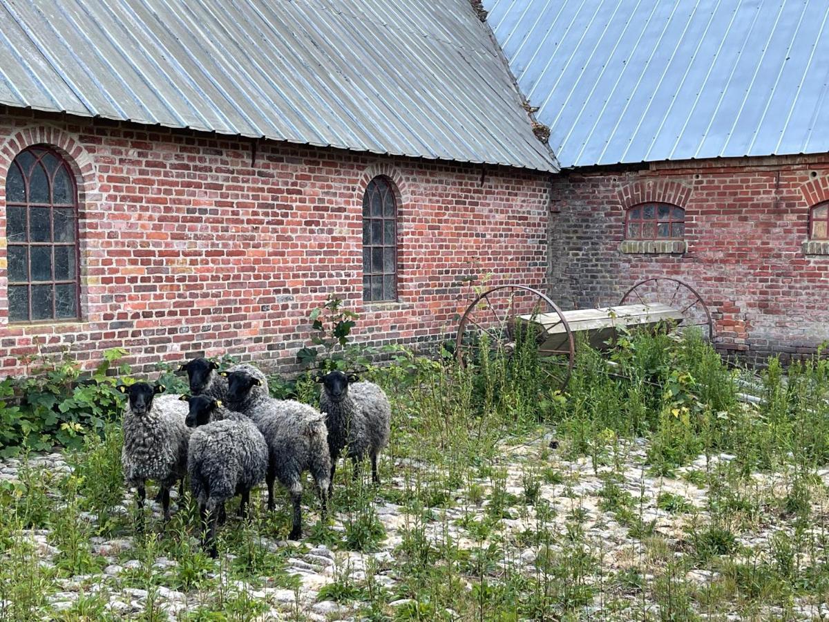 Store Stensig Frederikshavn Esterno foto